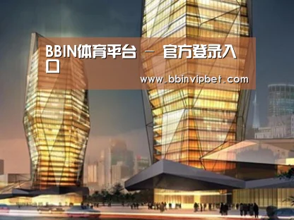 案例展示三