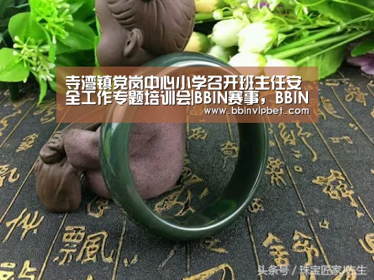 寺湾镇党岗中心小学召开班主任安全工作专题培训会|BBIN赛事