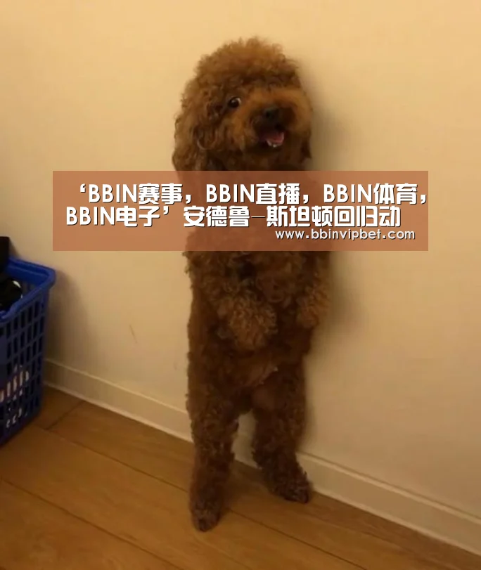 BBIN赛事，BBIN直播，BBIN体育，BBIN电子
